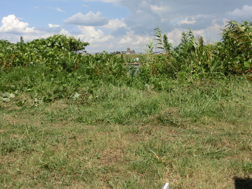 e0254813_234058.jpg