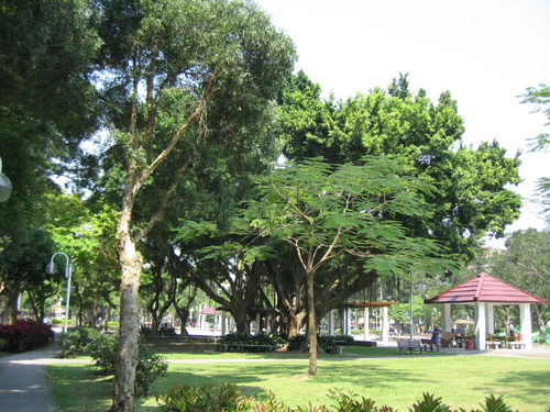b0093515_7275715.jpg