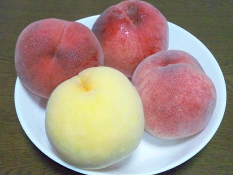 b0199924_14434136.jpg