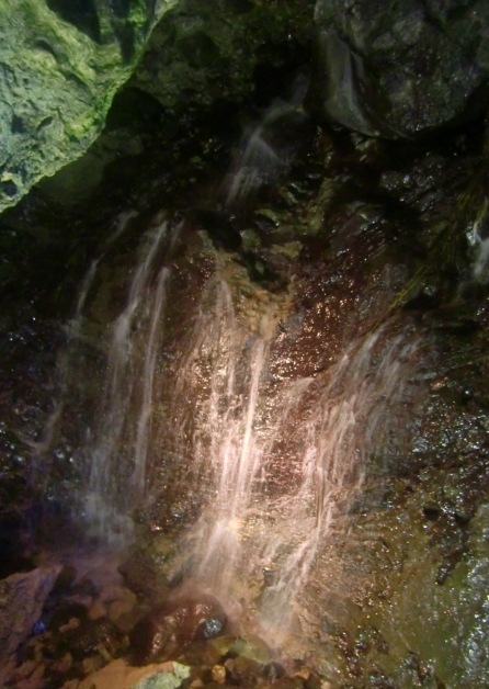 d0018424_1957445.jpg