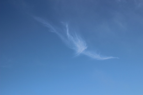 f0018027_6555212.jpg