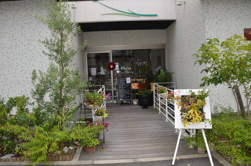 f0124830_1231328.jpg