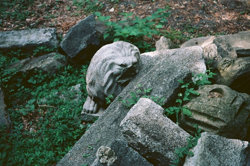 d0089742_2313228.jpg