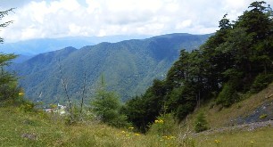 d0080547_1414330.jpg