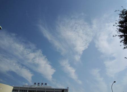 b0173754_13565990.jpg
