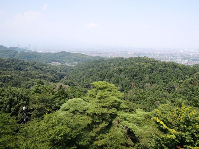 b0173754_14275743.jpg
