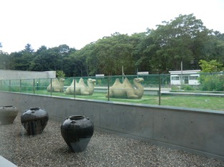 e0246154_115511.jpg