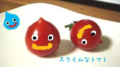 a0153157_944186.jpg