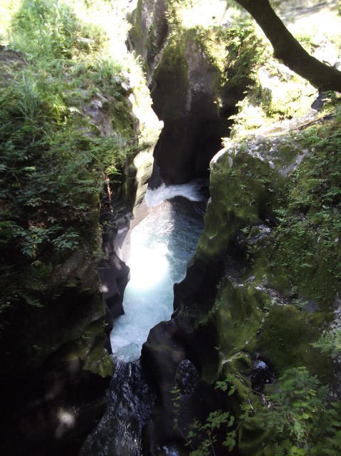 c0105957_21334827.jpg