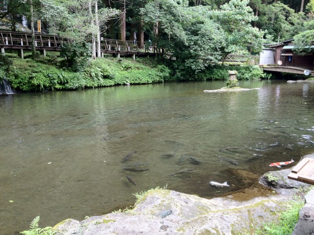 c0105957_2139312.jpg