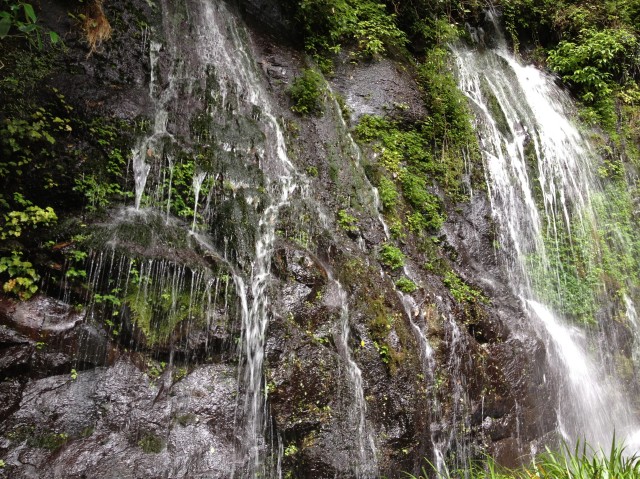 c0105957_21403870.jpg