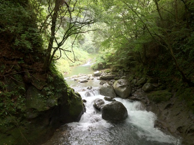 c0105957_23334141.jpg