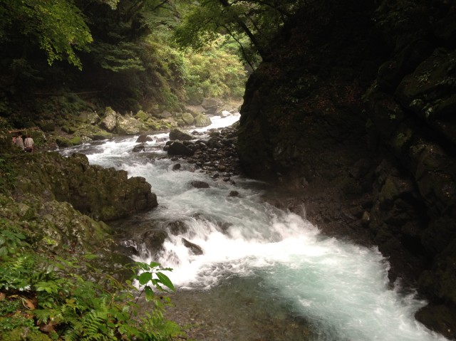 c0105957_23335980.jpg