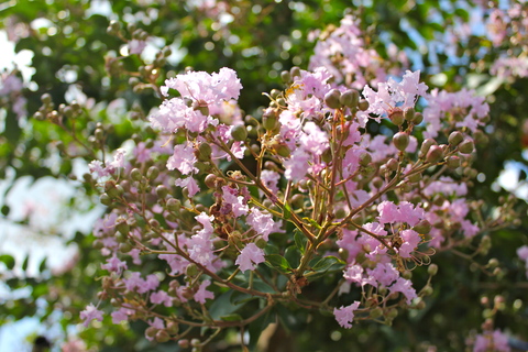 a0248459_19425966.jpg