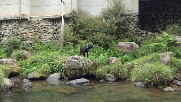 f0093459_10143363.jpg