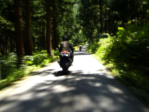 a0083760_5282261.jpg