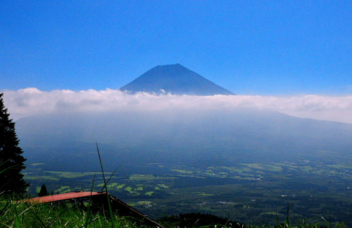 a0150260_2347338.jpg