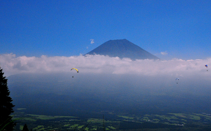 a0150260_23474921.jpg