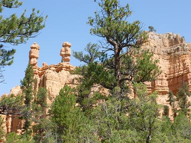 a0165963_1503671.jpg