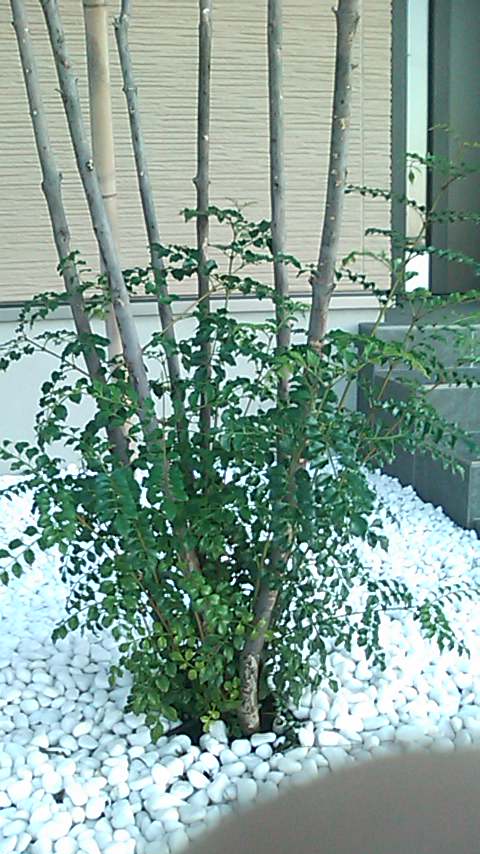 b0242064_12224195.jpg