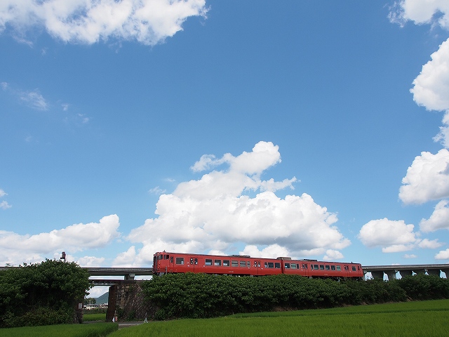 d0128465_7311915.jpg