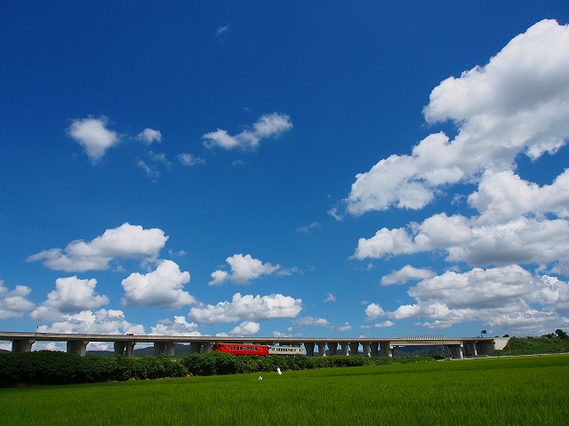 d0128465_731575.jpg