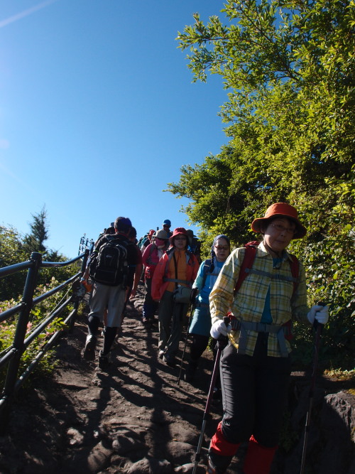 c0122670_6321159.jpg