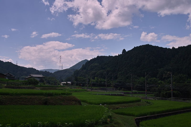 c0177576_18144411.jpg