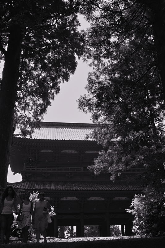 c0177576_1819994.jpg