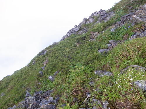 a0094280_17182125.jpg