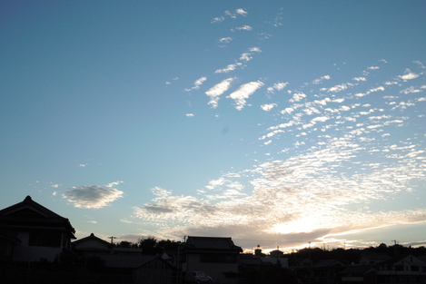 d0162481_81058.jpg