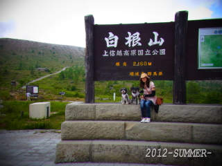 f0155381_14325385.jpg