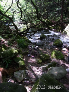 f0155381_20491826.jpg