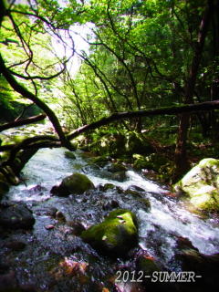 f0155381_2051070.jpg