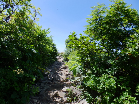 a0043982_16125033.jpg