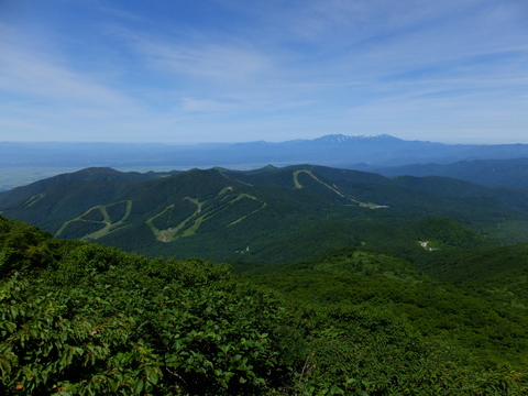 a0043982_16132081.jpg