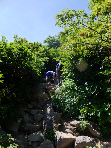a0043982_16133883.jpg