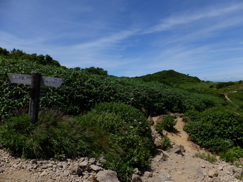 a0043982_19114160.jpg