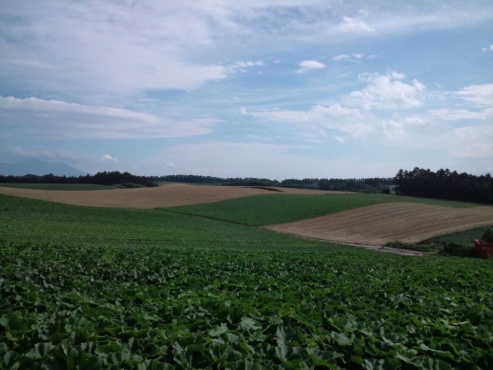 d0220685_22412184.jpg
