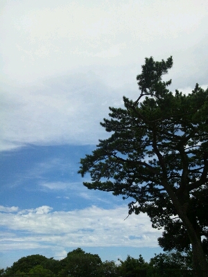 f0050287_831296.jpg