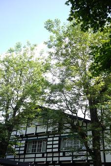 a0091891_21413470.jpg