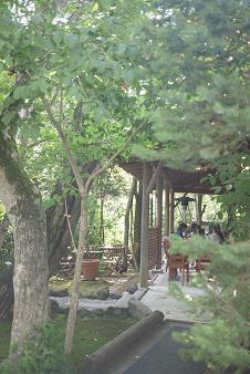 a0091891_2147176.jpg