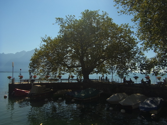 b0164291_755441.jpg