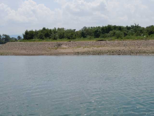 b0120492_2230890.jpg