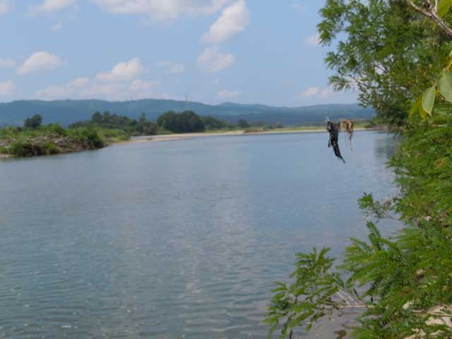 b0120492_2231322.jpg