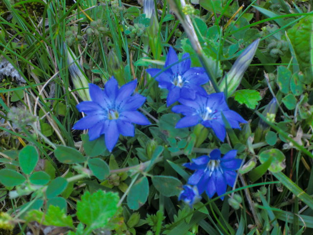 b0044296_17183411.jpg