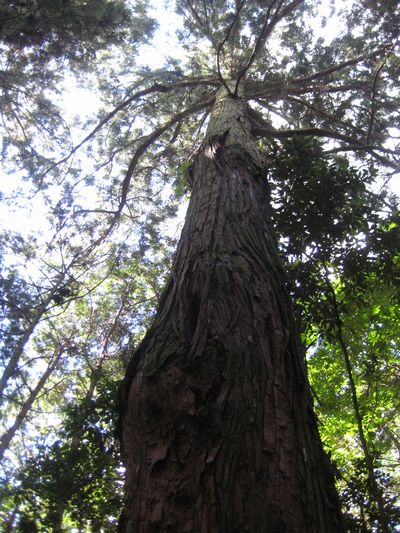 f0201297_2321213.jpg