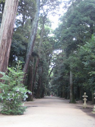 f0201297_23264521.jpg