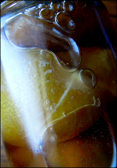 f0206197_931097.jpg