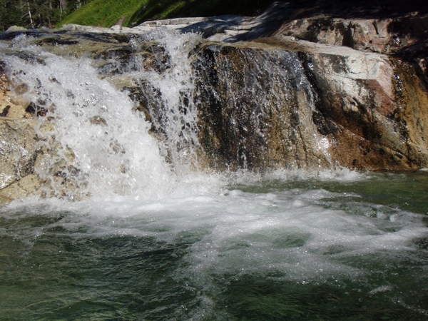 b0039898_941772.jpg